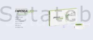 سیلر اندوسیل ام تی ای ماروچی MARUCHI EndoSeal MTA